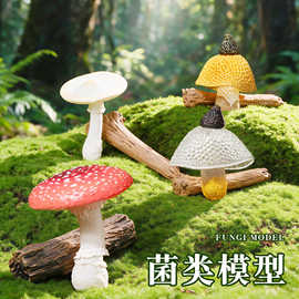 仿真野生菌类蔬菜植物模型竹荪蘑菇香菇平菇早教认知摆件儿童玩具