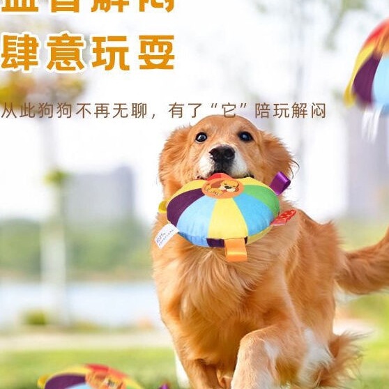 Dog Frisbee Bell Dog Training Border Collie Supplies Dog Training Pet Frisbee Training Outdoor Toy for Small Dogs