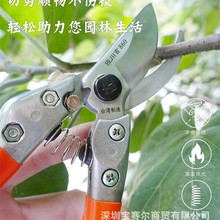 ̨��������860������֦�ɹ�ժ��ʡ������֦�����X���@ˇ��֦֦��
