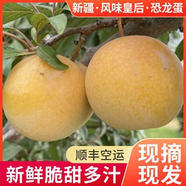 红枣干;葡萄干;苹果干