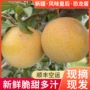 新疆产地风味新鲜水果