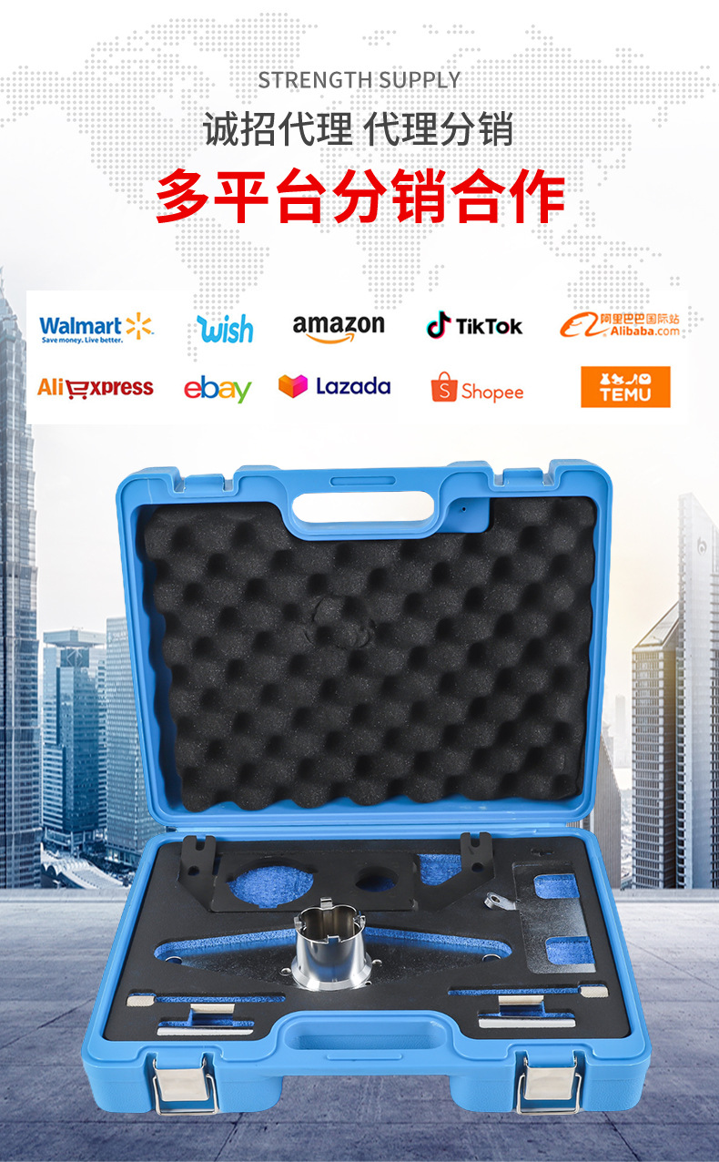 New Land Rover Evoque Chery Jaguar 2.0 14 2.0 Liter Engine Timing Tool Special Tool Set Manufacturer