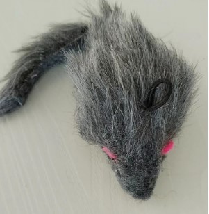 마우스 독립 헤드 교체