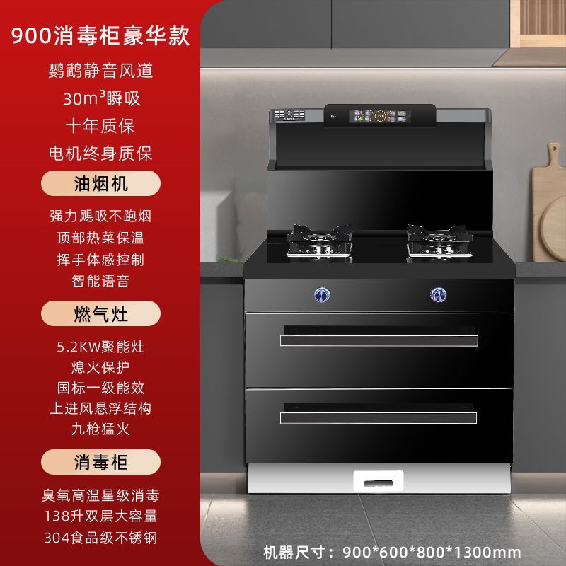 900 소독 캐비닛 고급 모델 - 파이프 천연가스 + 좌우 연기 배출 [ 공동 보증]