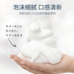 Whitening Toothpaste with Mint Flavor, Foam Type, Pressurized Tube for Oral Care