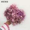 Pink-purple, gradient