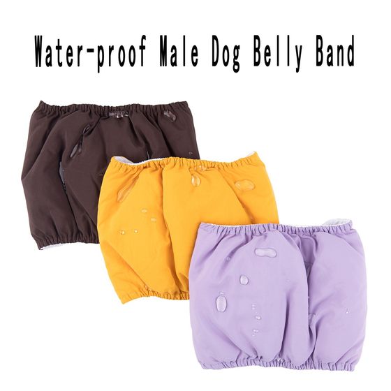 Pet Physiological Belt Cross-border Pet Diaper Washable Waterproof Polite Belt for Dog Reusable Pet Diaper