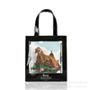 Cartoon fashionable waterproof shopping bag PVC, storage bag