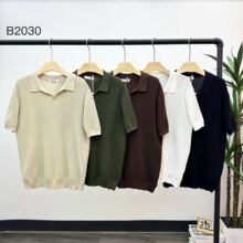 ��֮�ļ�����͸����ʿ����t��2026�¿ɫ�ٴ����б�˿polo����
