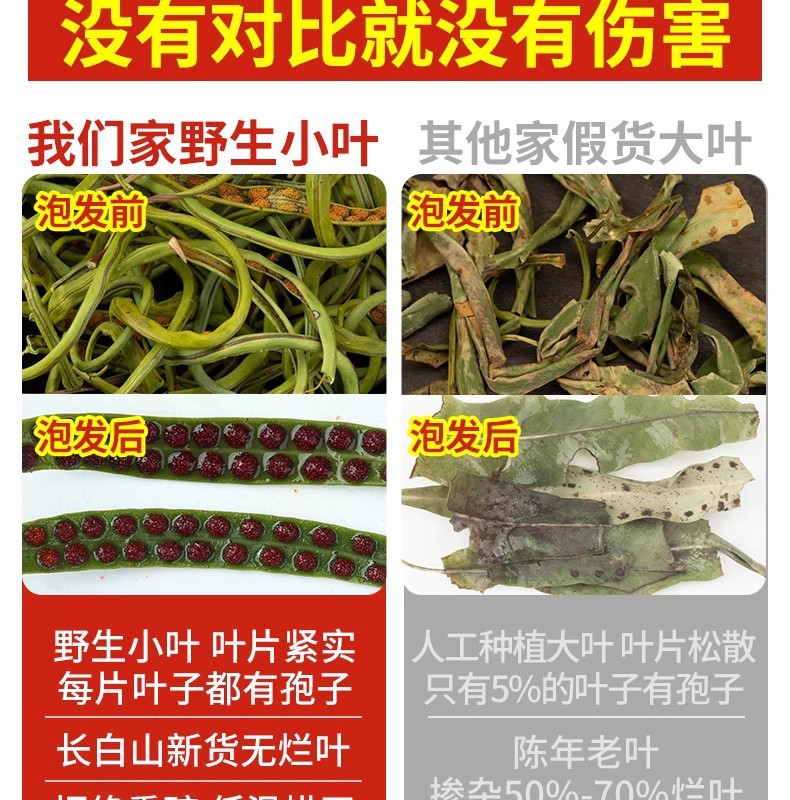 Shen Jing Cao Herbal Tea Wild Small Leaf 500g Men's Wellness Tea key features