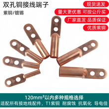 地线铜鼻子 DT端子 开口鼻 接地线线鼻子 堵油端子 双孔铜鼻子