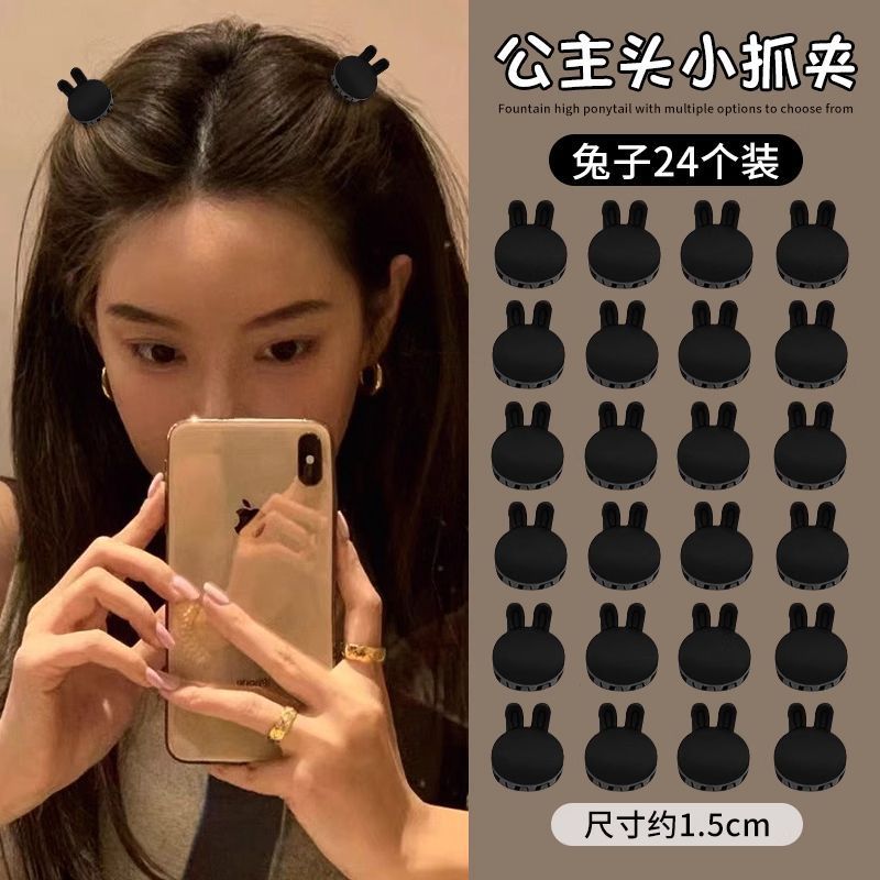 Small black rabbit, 24 pieces