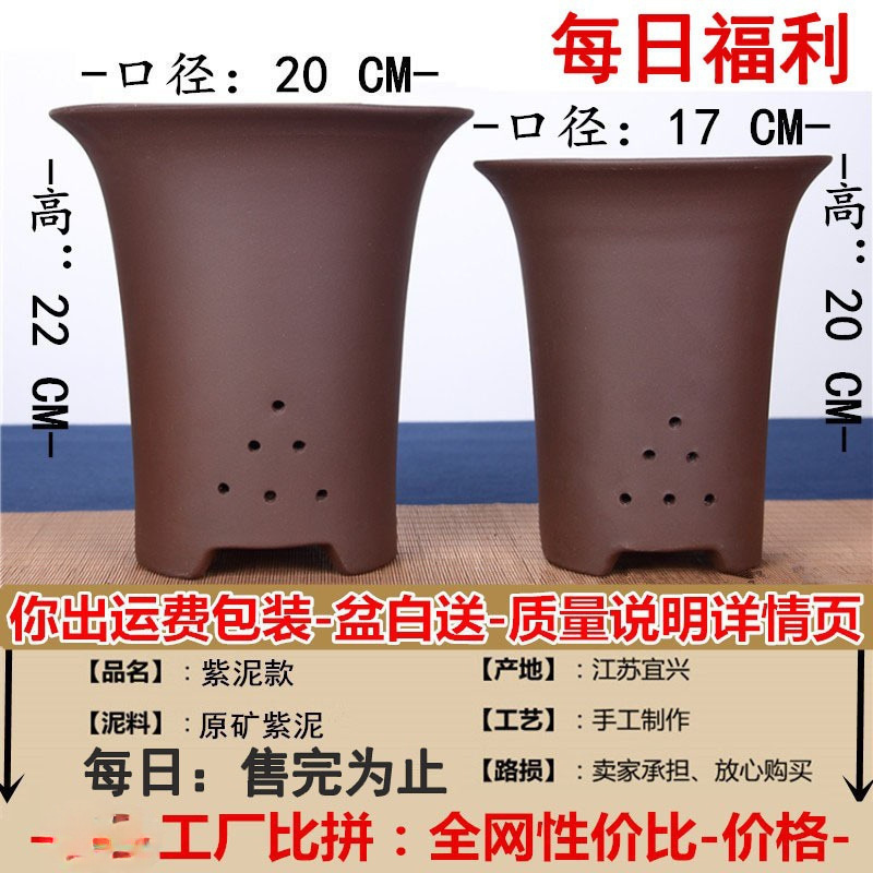 宜兴紫砂花盆直销特大兰花盆陶瓷盆景多肉君子兰简约直销|undefined