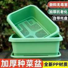 阳台种菜盆加厚长方形塑料盆家庭蔬菜种植盆种菜大号耐用花盆代发