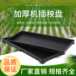 园艺农田塑料 水稻育秧盘 插秧机硬盘育秧苗硬盘 育秧盘 厂家直销