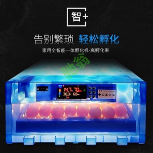 Yut multifunctional automatic incubator chicken duck goose pigeon peacock incubator 70 egg incubator egg hatch