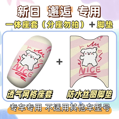 Waterproof and Sunproof Seat Cover | Electric vehicle foot mat - breathable-combination-yb-line-dog-special-for-xinri-encounter