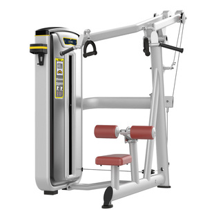 Bao Delong high pull back trainer BS-012 single station insert strength gym fitness equipment commercial equipment