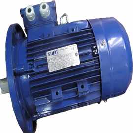 意大利SMEM三相异步电机系列0.18KW -55KW