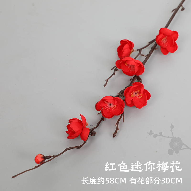 빨간색 미니 매화