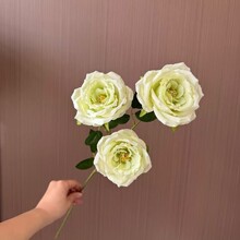 �_��õ���滨��c��Y��·���Ƶ�廨�ҾӲ��Ô[�����Q���l�ٻ�