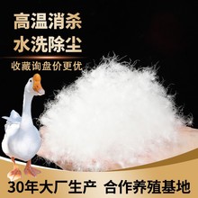 �Z�q90���Z�q���� ��q����q������� ɢ�b������Դ�^�S��ֱ�N