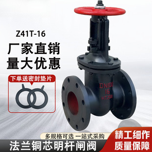 Z45T-16���U���m�l�y �ք��T�F�l���yDN40 50 65 80 100 150 200