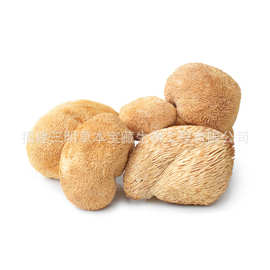 现货猴头菇散装干货批发家用煲汤猴头菇年货各种食材菌菇干货批发