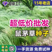 ��é�ݷN�ӹ��@�G�ʲݷN�ͺ����s�ݸ��������O�����و@������ë��