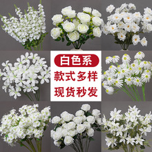 ��c��ɫϵ�������ٻ���Y���b�ˇ�Ҿӆ�֧����·���廨��