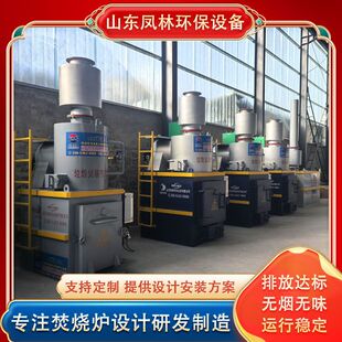Garbage Incinerator Smokeless and Odorless Small Incinerator Plastic Garbage Incineration Equipment Solid Waste Garbage Incinerator
