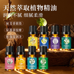 ��Ȼ��ȡֲ��ͷ�����10ml�̝����w�aˮ����Ħ����ֲ�ﾫ�����l
