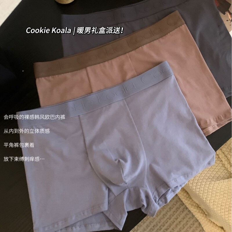 Gift Boxed Pure Cotton Men's Boxer Briefs Warm Men's Micro-Elastic Solid Color Simple Casual Seamless Shorts Boxer Briefs Shorts for Men