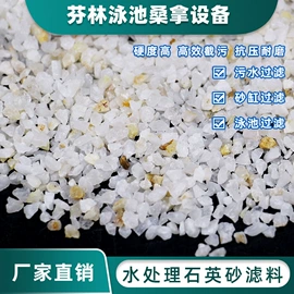游泳池;泳池水处理;喷泉水景
