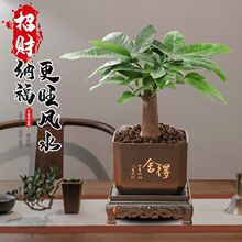 �lؔ�����Ի��ܾGֲ�k���ҿ͏d����ȩ�҃�ֲ����B������՚ⶶ��