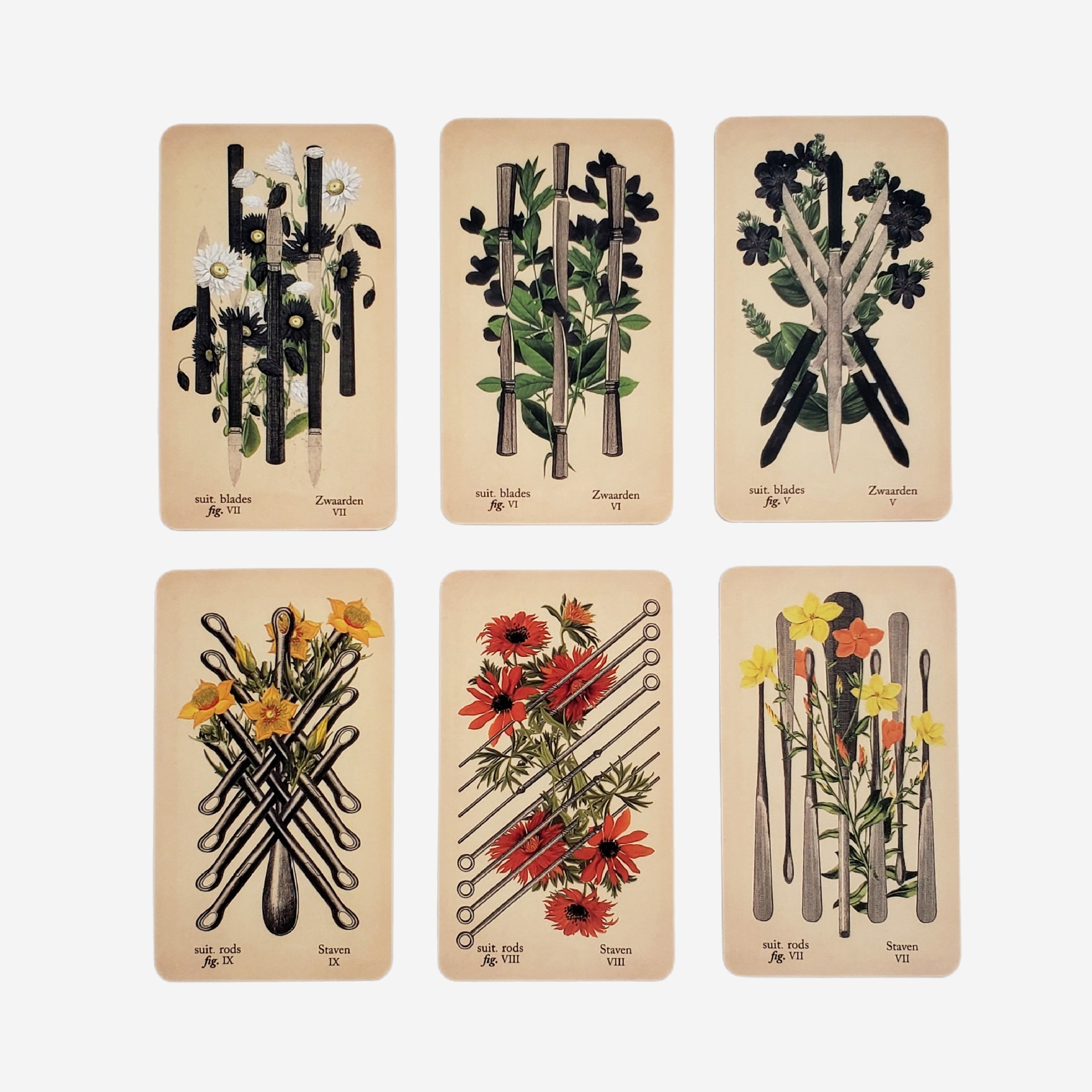 The Antique Anatomy Tarot Deck - Classic Divination Party Game_voghion.com