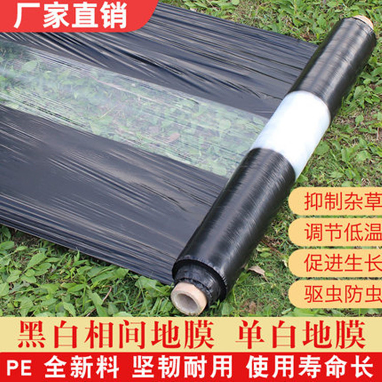 Agricultural Thickened Black and White Film Single-track White Double-track White Insulation Moisturizing Plastic Film for Herbicidal Planting and Vegetable Planting