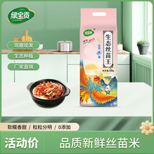 2024������؈�����������׳��L�����׽z��10��������׵��������