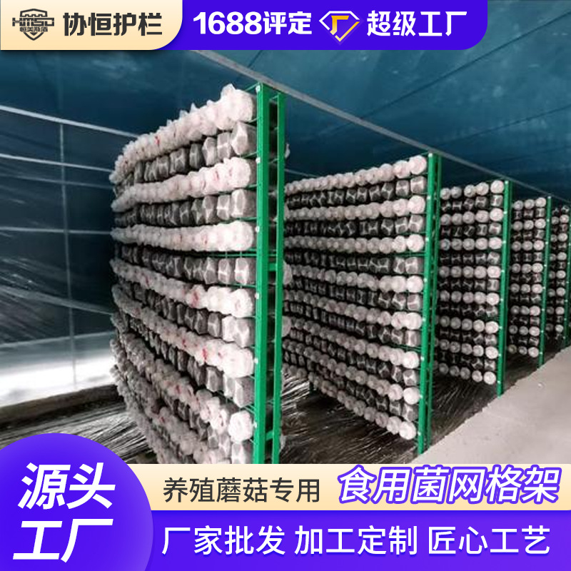 食用菌网格架  恒美丝盾低碳养殖蘑菇架杏鲍菇出菇网格蘑菇出菇架