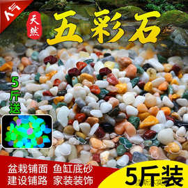 天然雨花石原石鱼缸底砂火山石造景小石头装饰彩色石子五花石龟缸