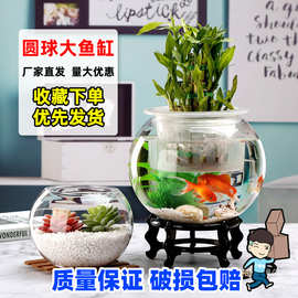 新款创意透明玻璃小金鱼缸客厅水培绿萝植物花瓶加厚圆球花盆摆件