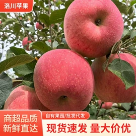 苹果