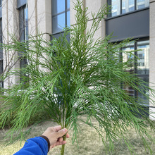 �a��؛Դ �J���� �bGֲ�ϼ� ���W�Gֲ �Ƶ�͏d�b� ܛ�b����