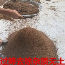 ��ͯ늄�܇�����6V�b��ͯ܇Ħ�������܇�A��12V��늳����̫��