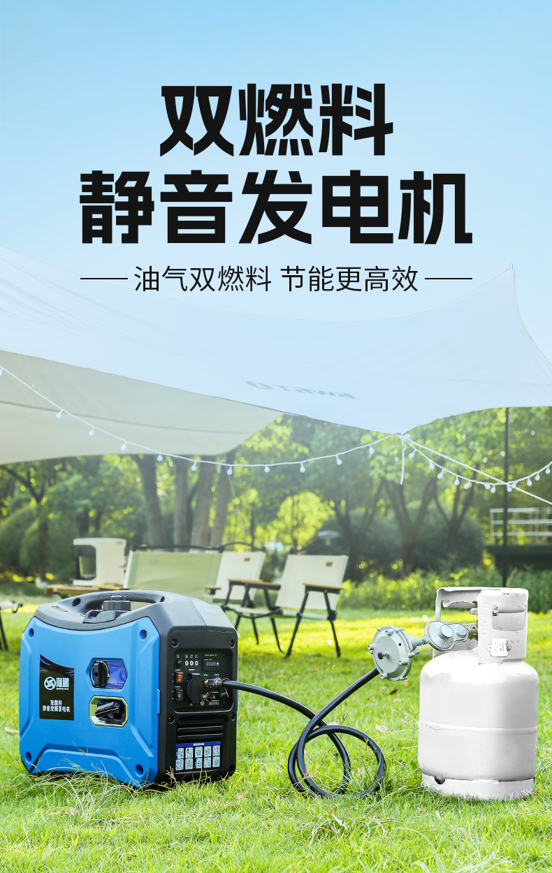 LP2000iR双燃料详情2_01.jpg