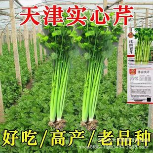 �����Ʒ�N���،����۷N���w�S��ζ�����ļ��r�Ҵ����＾�۲˷N��