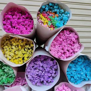 Gypsophila Flowers Yunnan Direct Batch Colorfulful Gypsophila Fresh Cut Flowers Absorbing Colorful Star Wedding Festival Flower Materials