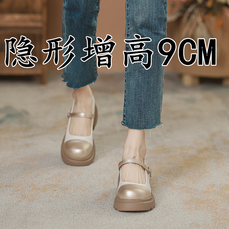 Small Inner Height Women's Shoes 2024 New Summer French Mary Jane Shoes Color-matching Thick Bottom High Heeled Shallow Mouth Single-layer Shoes