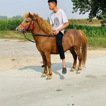 ���R���ػ�����񄰫�R�T��С���RӖ�õ�Ҫ�����X���ﰫ�_�R�ж��