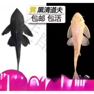 ������~���坍���~�^�p�Ꭷ��ˮ��ˮ���������S���������̦��